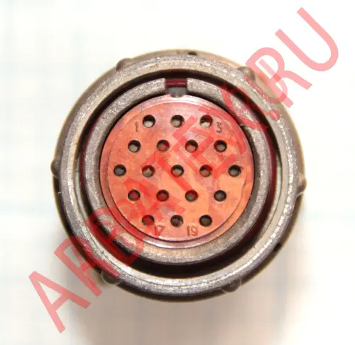 2РМ24КПН19Г1В1 Разъемы 2РМ, 2РМТ, 2РМГ, 2РМДТ, ОНЦ-РГ фото фото 2